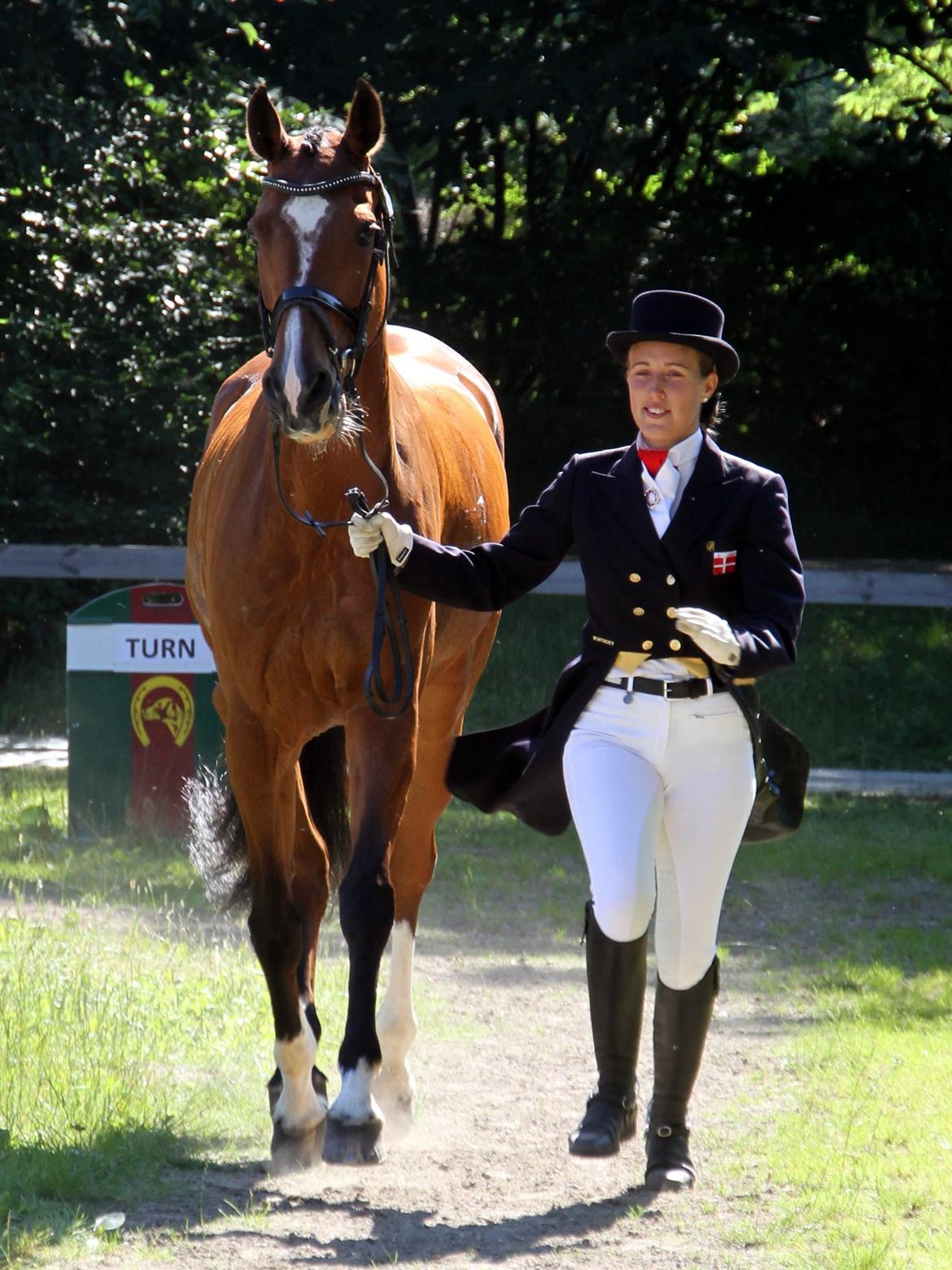 Dansk Varmblod Gamlish Chaday-Deligth - Int. Vet Check billede 21