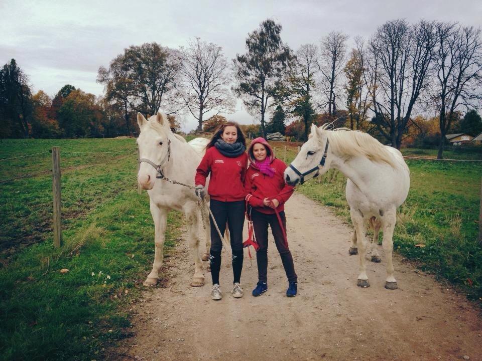 Knabstrupper Kolumbus af Hallundbæk - Sammen med Caroline og Viktor. billede 14