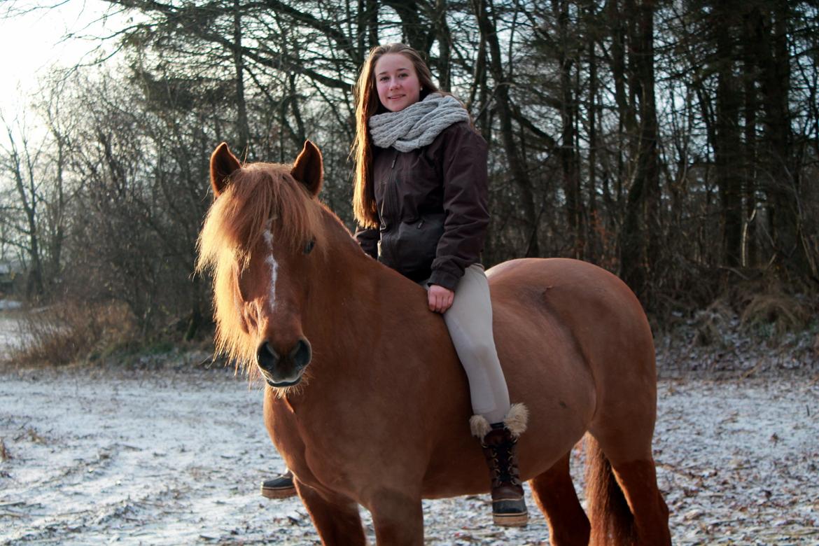 Anden særlig race Chanel - Vinter 2012 - verdens bedste pony <3 billede 1