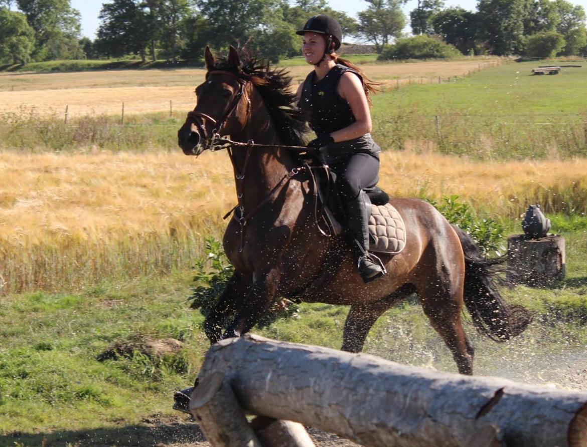 Anden særlig race Miss Fine Bine - Søborggård 2013 billede 1