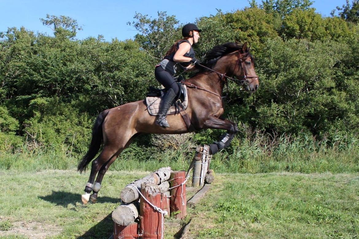 Anden særlig race Miss Fine Bine - Søborggård 2013 billede 7