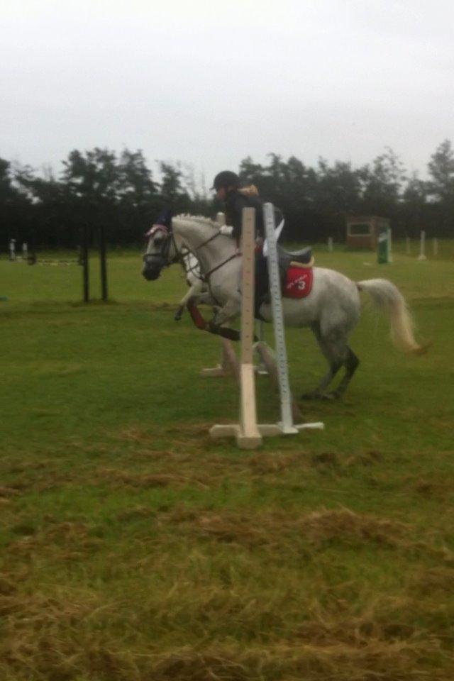 DSP nordenhøjs freja - Freja og mig til opvarmning til vores første stævne billede 18