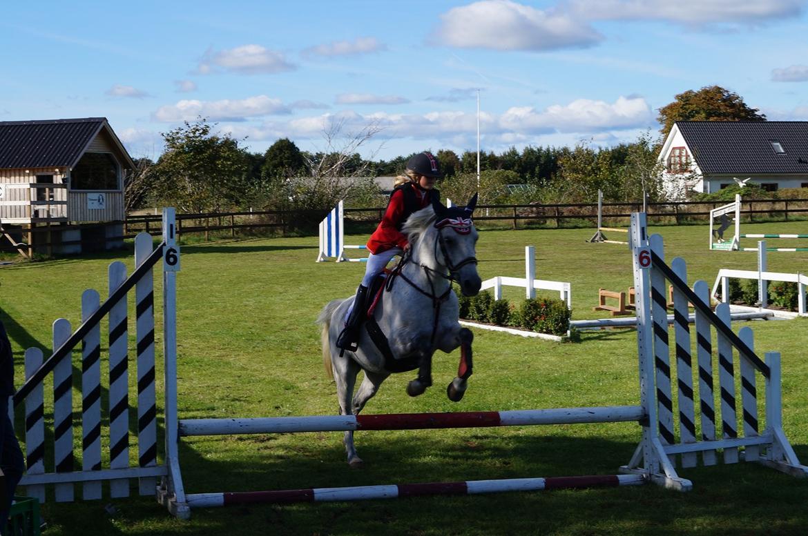 DSP nordenhøjs freja - stævne i Nejst rideklub billede 19