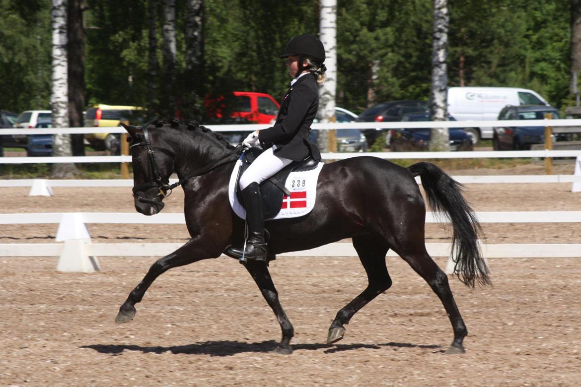 Anden særlig race Magic Manipu <3 - NM 2012 Finland billede 18