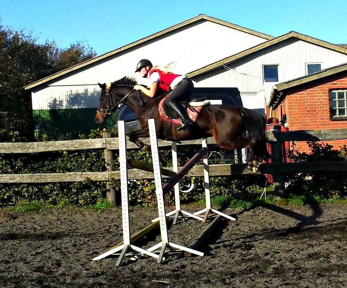 DSP Day-lights naomi - Naomi i super stil;)
18/10-2013 billede 14