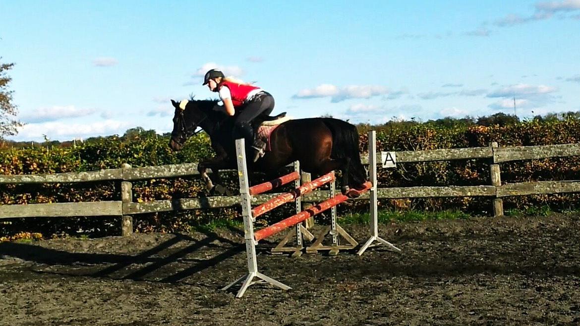 DSP Day-lights naomi - Super pony<3 billede 44