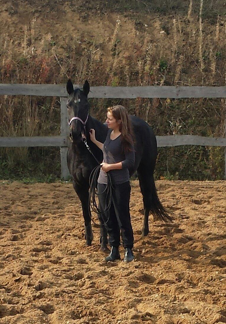 Oldenborg Sally af Skovvang billede 9