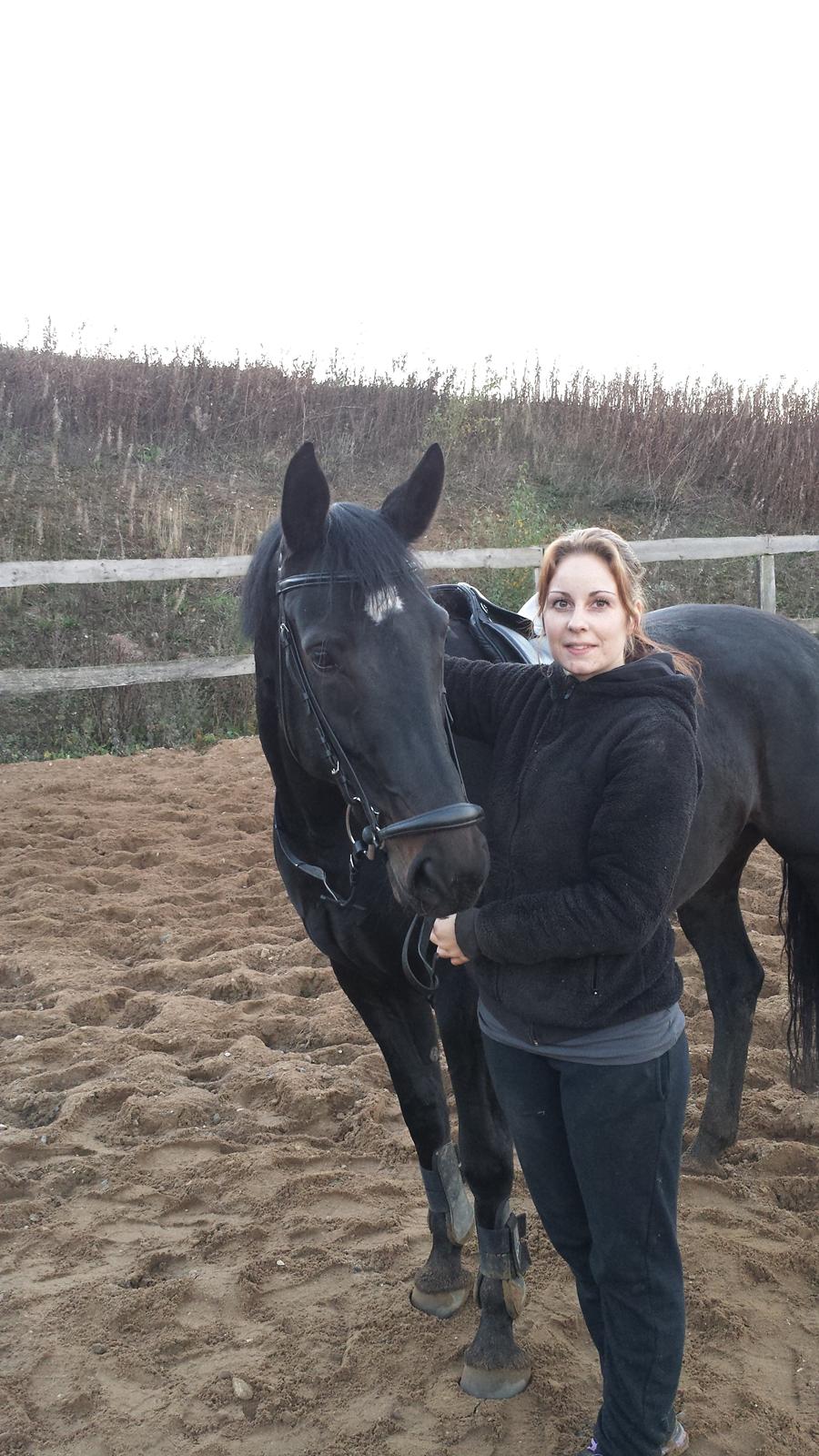 Oldenborg Sally af Skovvang billede 13