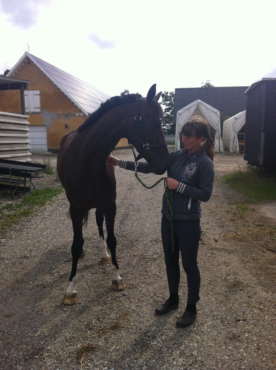 Westfaler Day of Glory - Lige ankommet til Danmark billede 2