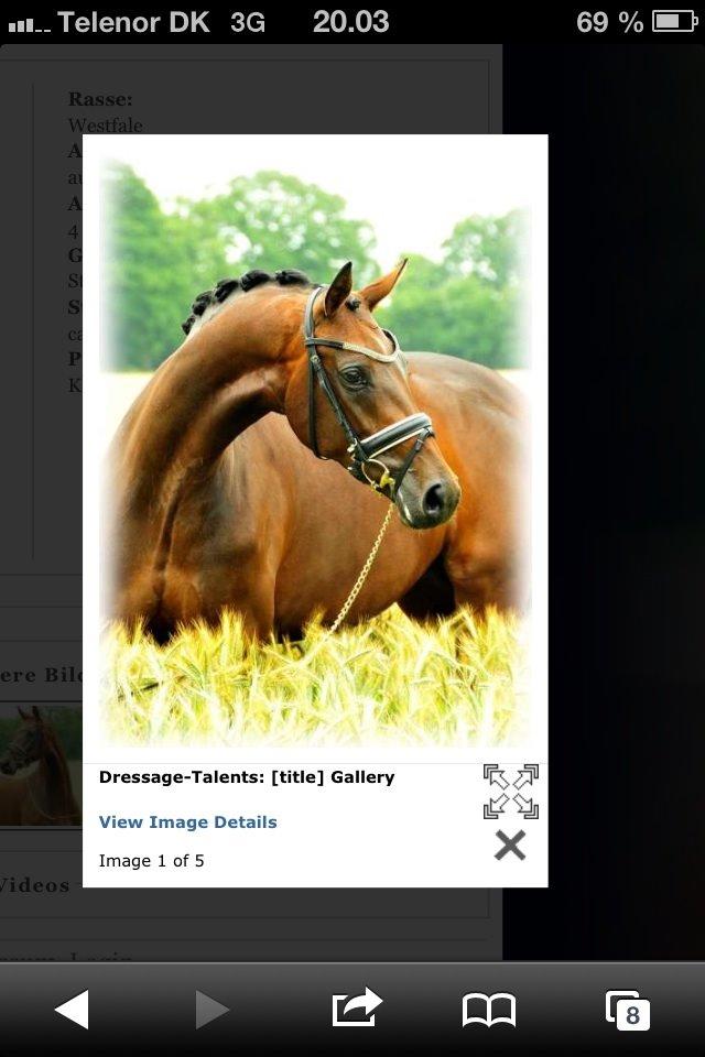 Westfaler Day of Glory - Salgs billede billede 6