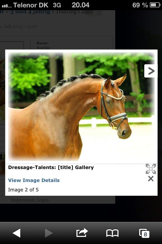 Westfaler Day of Glory - Salgsbillede
 billede 7