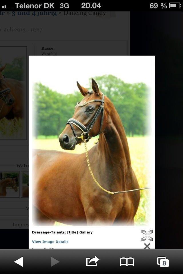 Westfaler Day of Glory - Salgsbillede billede 8