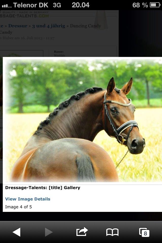 Westfaler Day of Glory - Salgsbillede billede 9