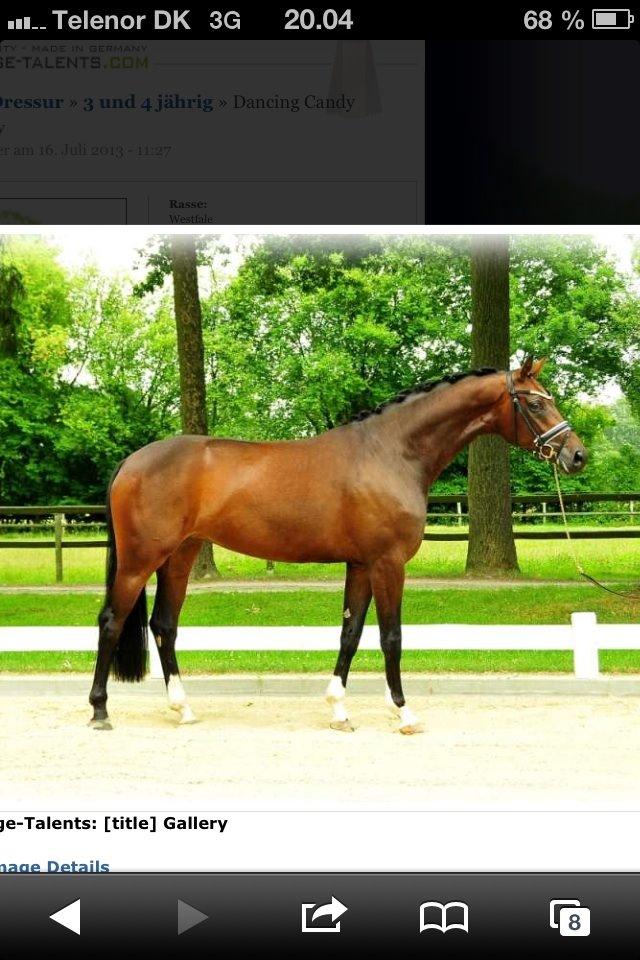 Westfaler Day of Glory - Salgsbillede billede 11