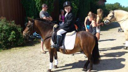 Anden særlig race Kalur billede 9