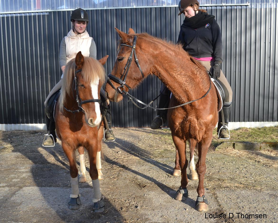 Anden særlig race Kjelstrups Shadow :) billede 35