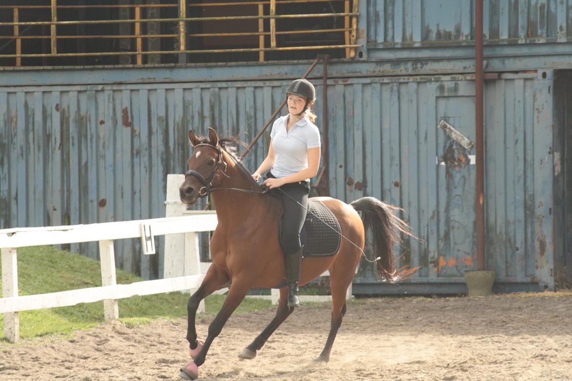 DSP Reb'l Fleur - oktober 2013 billede 35