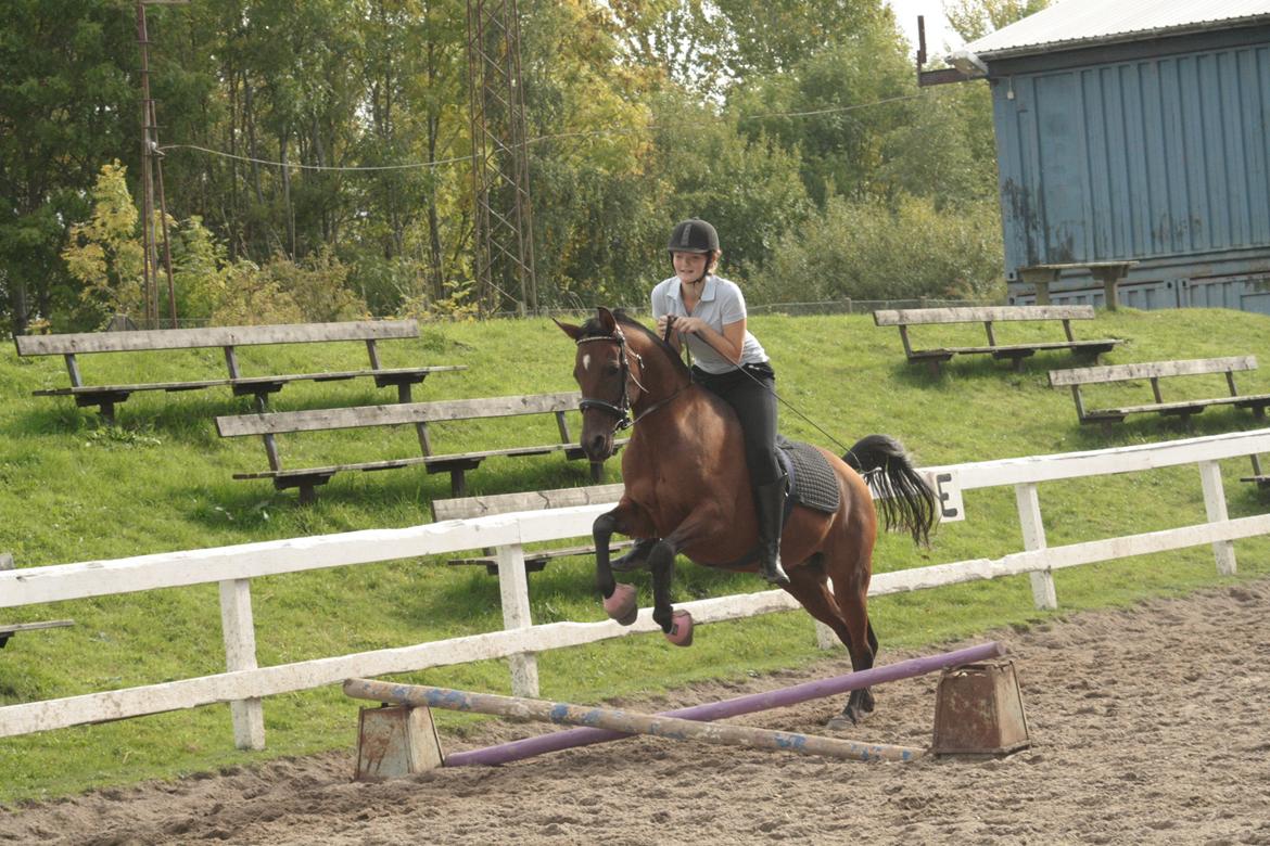 DSP Reb'l Fleur - oktober 2013 billede 32