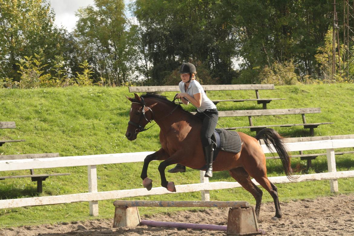 DSP Reb'l Fleur - Spring oktober 2013 billede 21