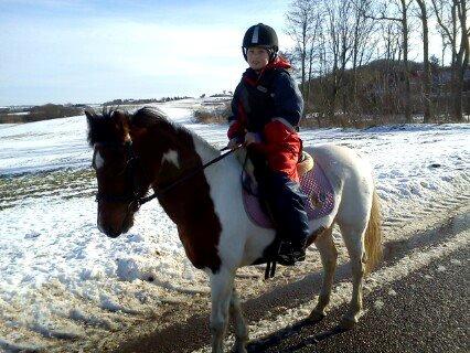 Pinto Starlight - Ditte og Starlight  billede 31
