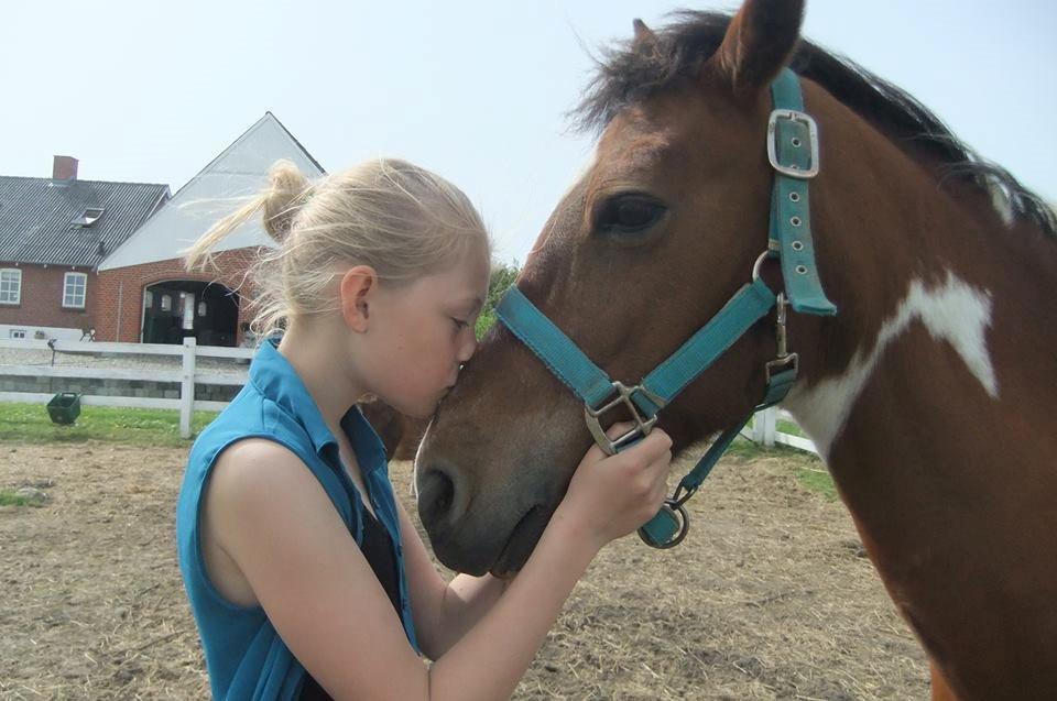 Pinto Starlight - Ditte og Starlight  billede 38