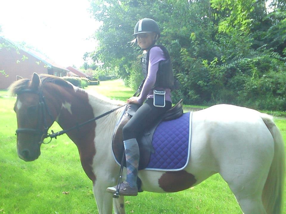 Pinto Starlight - Ditte og Starlight  billede 39