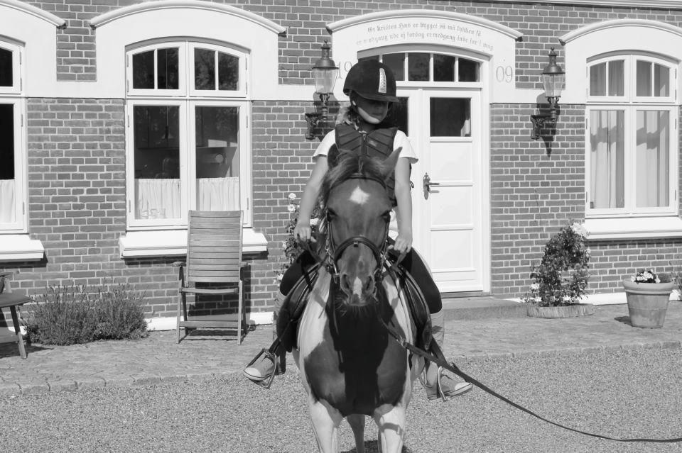 Pinto Starlight - Ditte og Starlight  billede 41