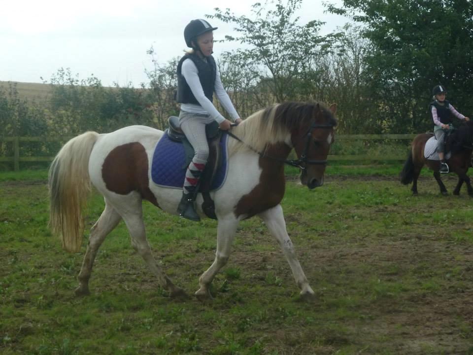Pinto Starlight - Ditte og Starlight  billede 48