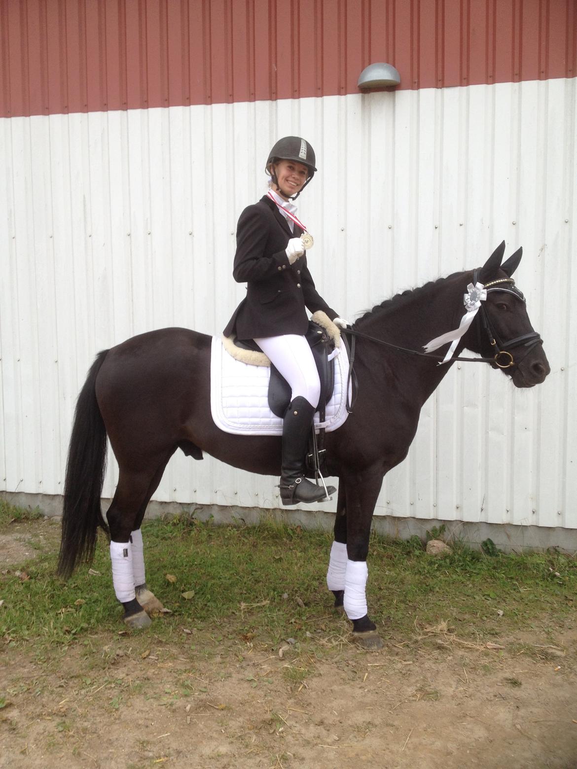 New Forest Calandias Avalanche (Caval) - LA-2 sølvmedaljeridning NF-foreningen 5.10.2013 billede 7