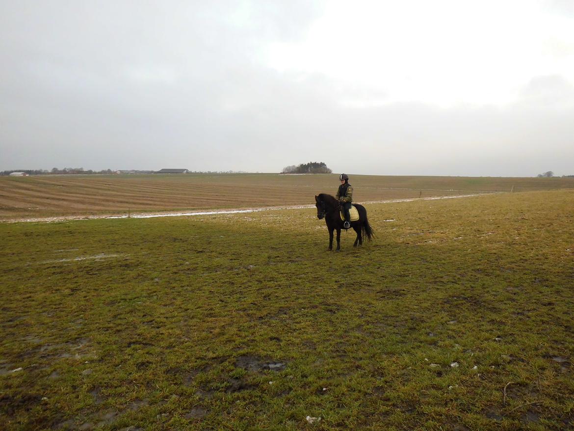 Anden særlig race • Silver • Min Soulmate<3• Himmelpony - Et af de eneste ride billeder jeg har af mig og Silver billede 14