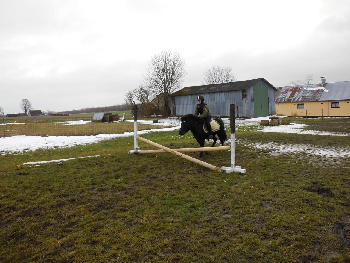 Anden særlig race • Silver • Min Soulmate<3• Himmelpony - Sprrriiiiing WEEE!!! det eneste "spring" billede jeg har  hvor man ingen gang kan se han springer over >:( billede 16
