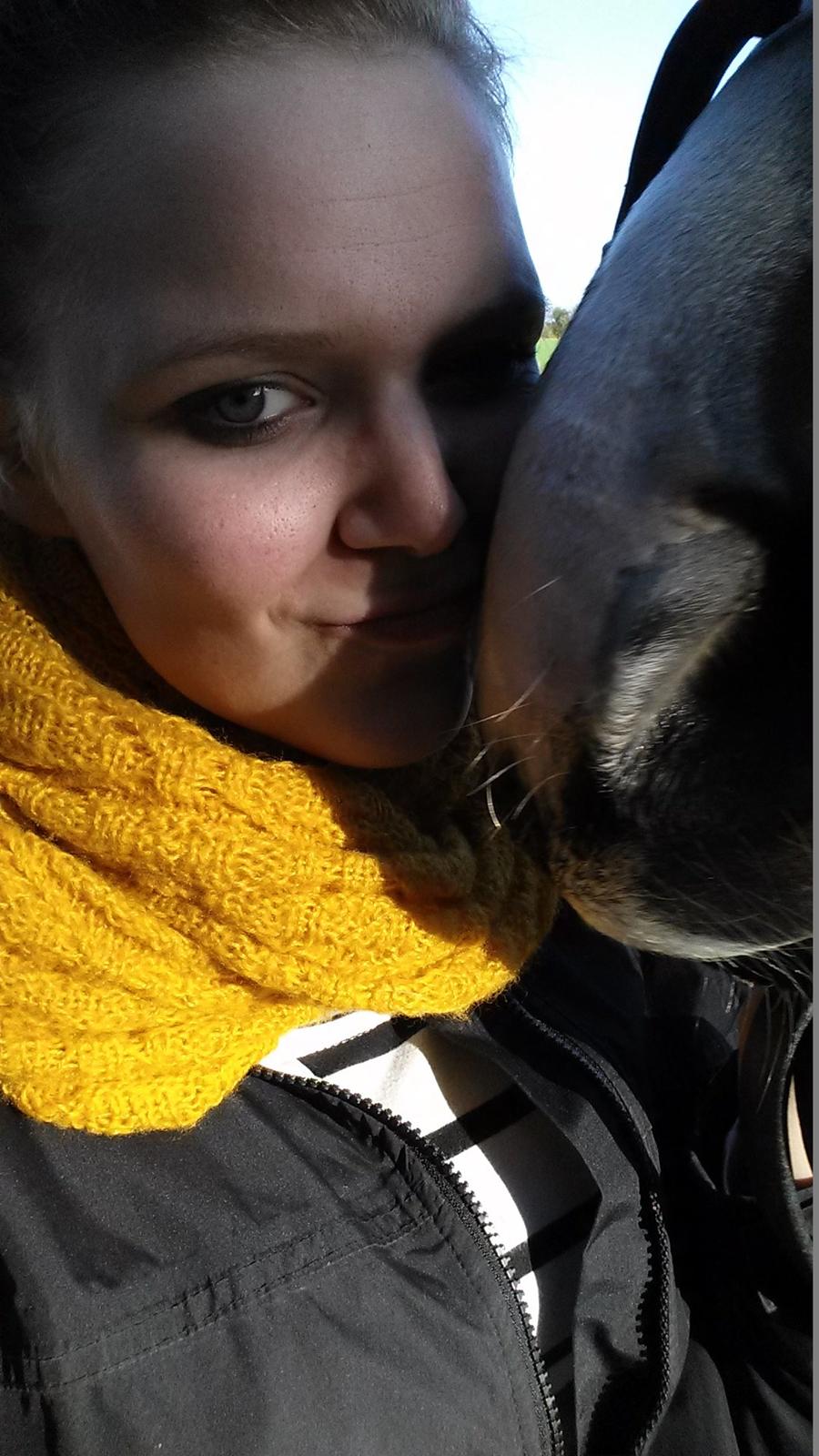 Polsk Varmblod Mikador - Kærlighed <3 billede 17