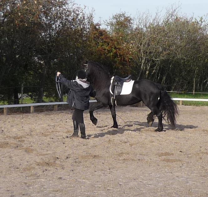 Frieser Doutzen . - Hårdt arbejde at holde Tøsen i gang :-), her prøver jeg nu også at få hende ud mod træerne/ bilerne . billede 29