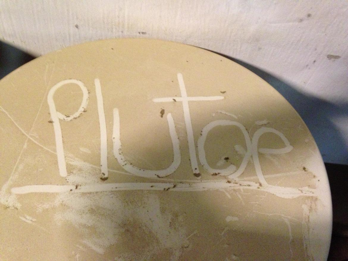 Irsk Sportspony Ringwood Plutoe billede 15