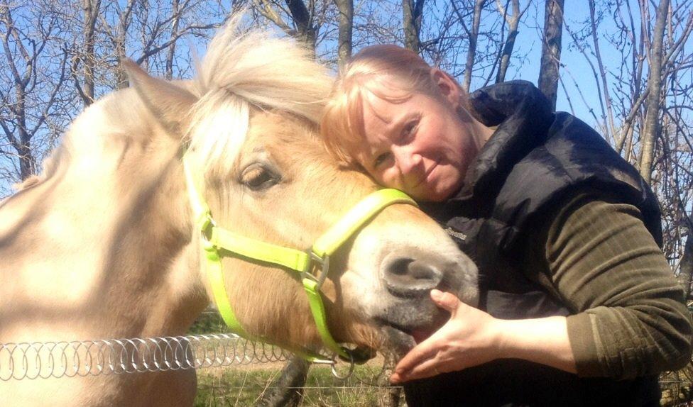 Fjordhest Milton (tidl. navn Claus) billede 10