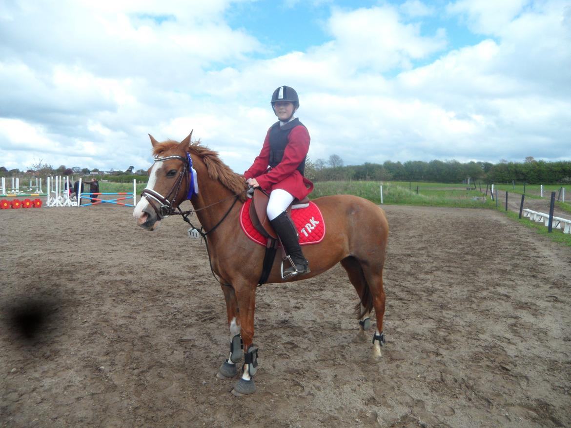 Anden særlig race La Fayette (Mit Et & ALT!!!) SOLGT - LC 2 plads (Stjerne) billede 21