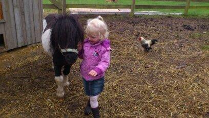 Shetlænder Rasmus Klump billede 6