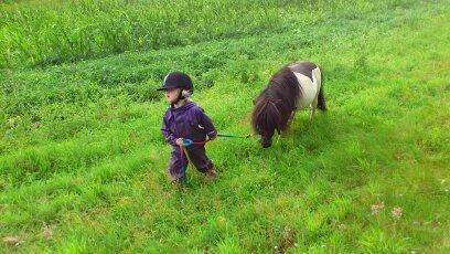 Shetlænder Rasmus Klump - kom nu Rasmus billede 14