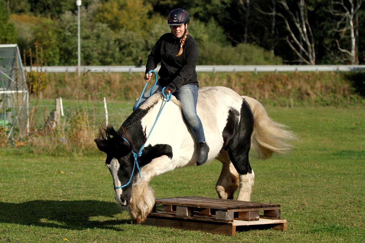 Tinker Tombola - 14 oktober 2013 billede 24