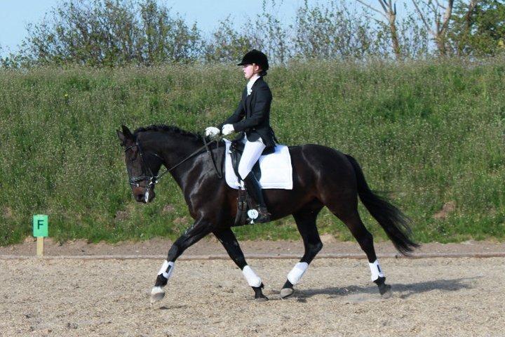 Anden særlig race Chili - Chili og Sara, dressurstævne. billede 3