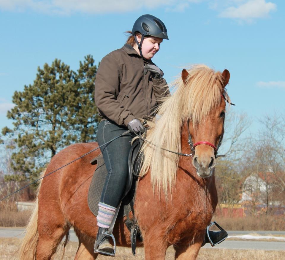 Islænder Stjarni fra Ragnarok billede 16