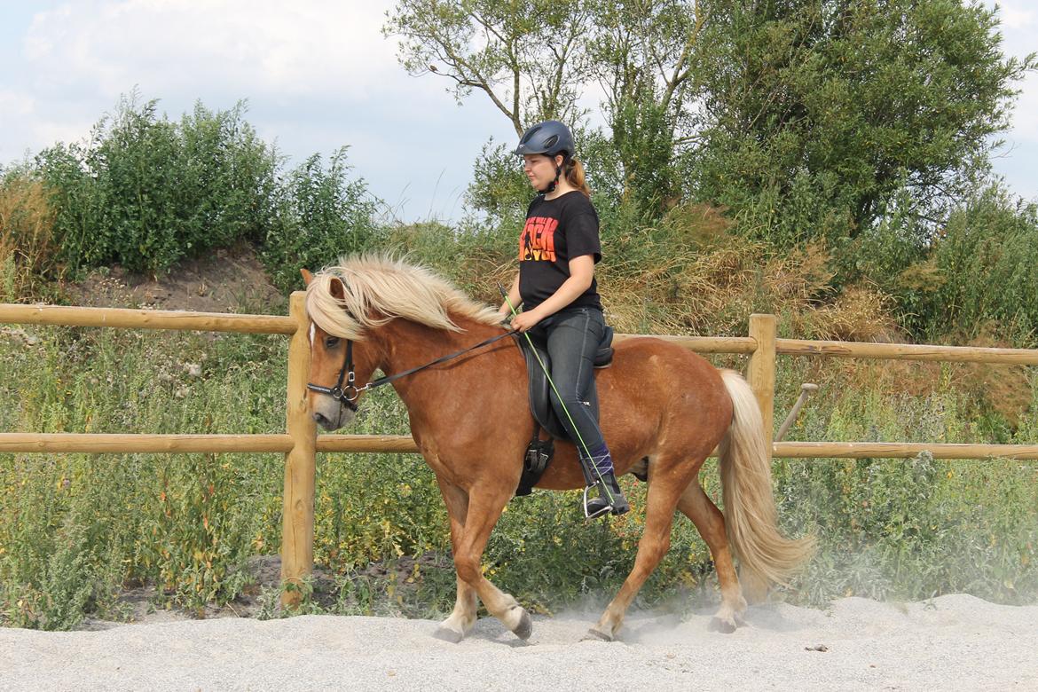 Islænder Stjarni fra Ragnarok - Stævne 2013 billede 19