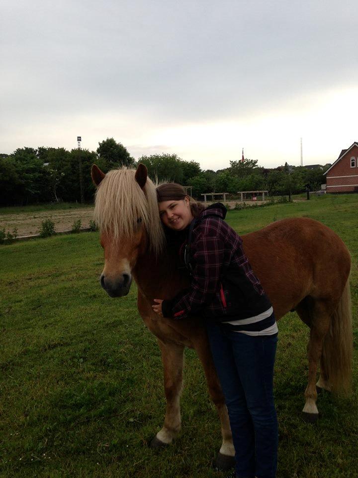 Islænder Stjarni fra Ragnarok - Velkommen til Stjarni´s profil billede 1