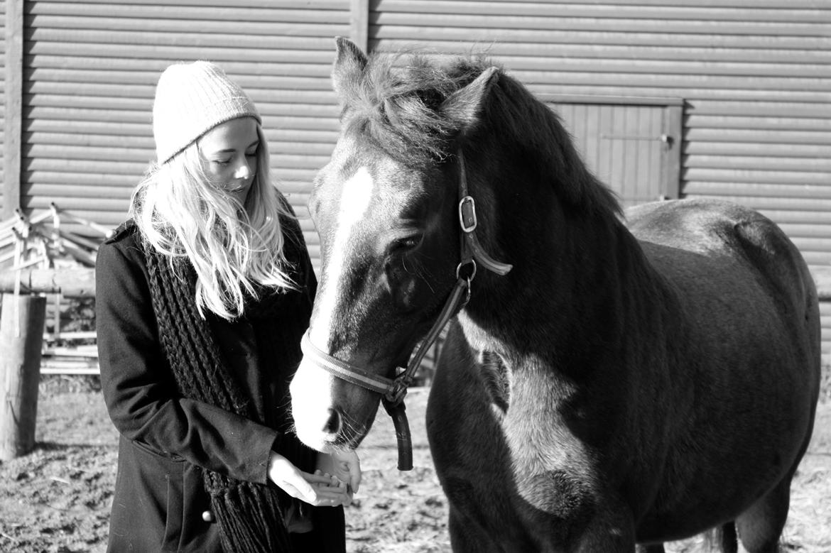 Anden særlig race Solly - Du vil altid være noget helt specielt <3 billede 10