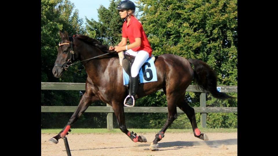 New Forest Angels Ditch Ana Rosa - Monté løb, hun var flyvende! 2013 <3 1. plads billede 24