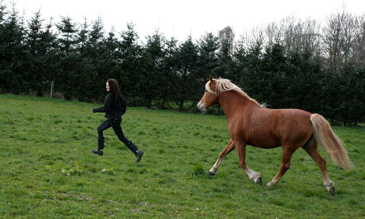 Anden særlig race Cha-Cha billede 16