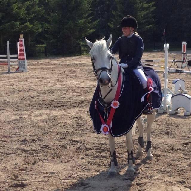 Anden særlig race Vestergaards Quick Step (B-Pony) - Distriktmester 2013 Kat.2 pony
Elsker dig <3
NSR billede 9