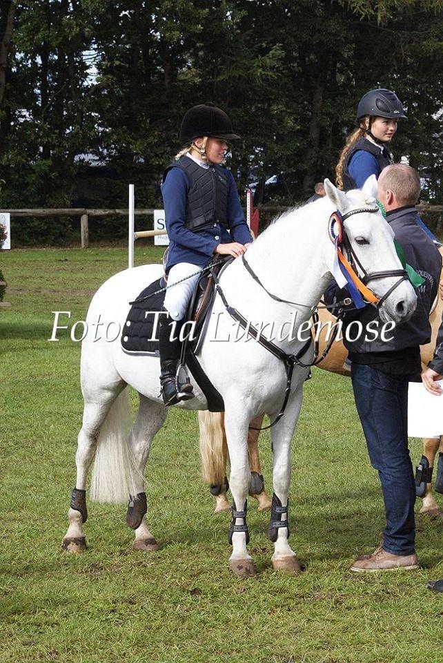 Anden særlig race Vestergaards Quick Step (B-Pony) - LA** L/M Danmarks Cup
Nr.4 <3 billede 5