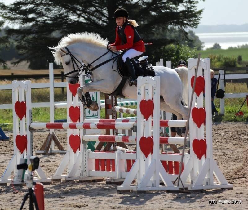 Anden særlig race Vestergaards Quick Step (B-Pony) - MB** 
HSK billede 6