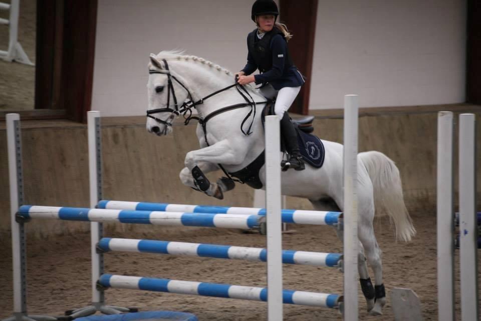 Anden særlig race Vestergaards Quick Step (B-Pony) - MB** Klub-mesterskab 2013
NSR billede 8